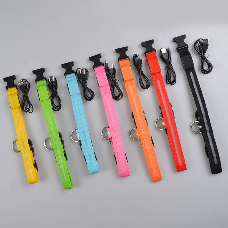 Manufacturers wholesale dog Teddy pet LED collars, night flashing dog walking collars, pet supplies on behalf of