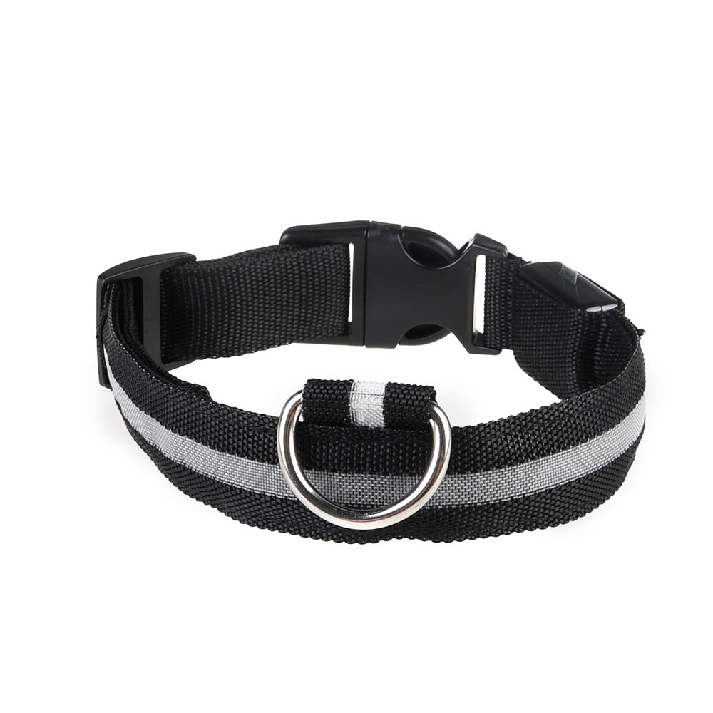 Manufacturers wholesale dog Teddy pet LED collars, night flashing dog walking collars, pet supplies on behalf of