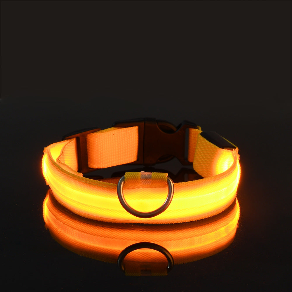 Manufacturers wholesale dog Teddy pet LED collars, night flashing dog walking collars, pet supplies on behalf of