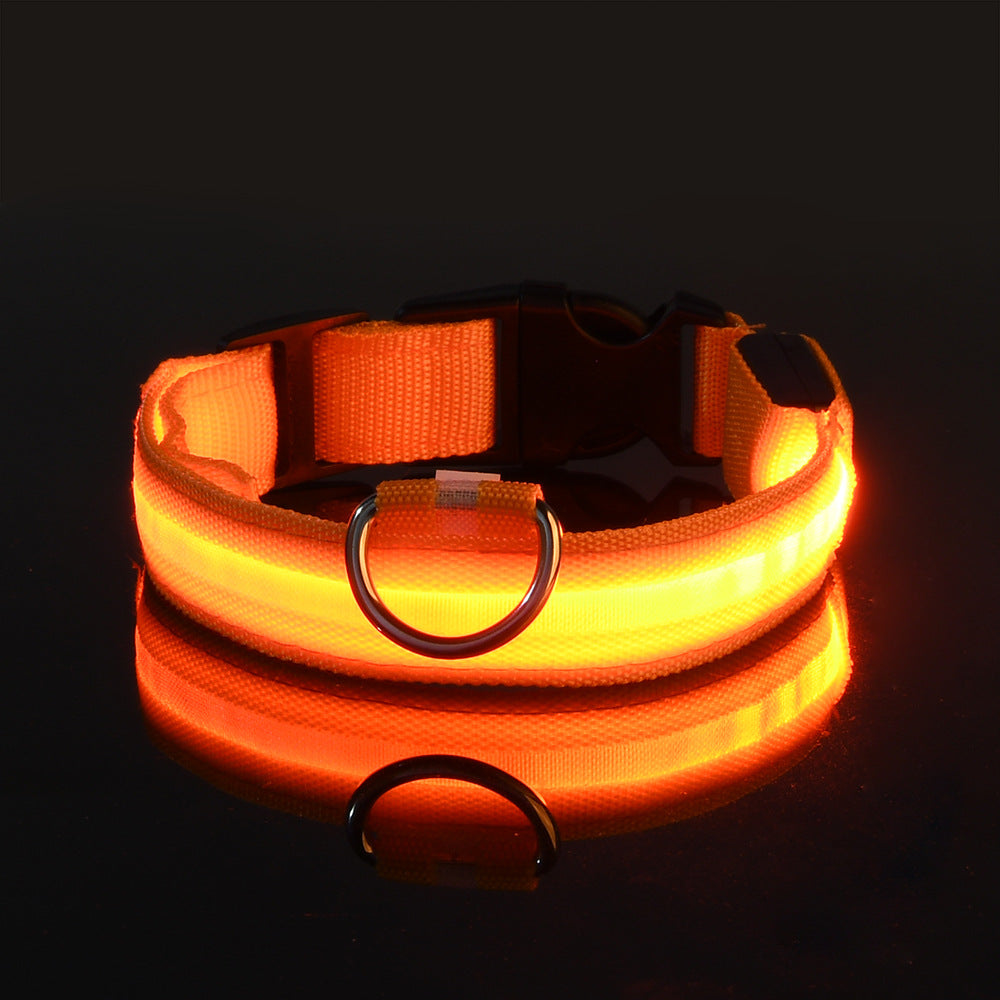 Manufacturers wholesale dog Teddy pet LED collars, night flashing dog walking collars, pet supplies on behalf of