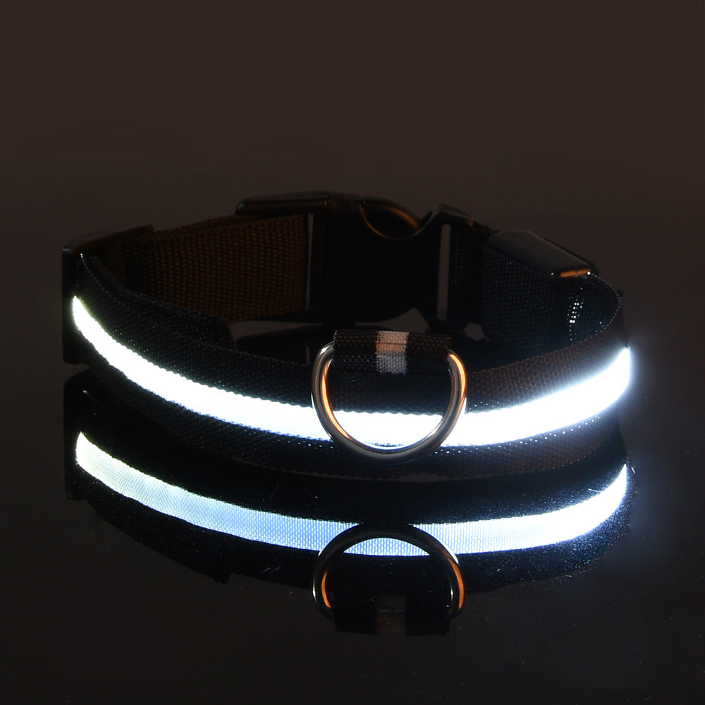 Manufacturers wholesale dog Teddy pet LED collars, night flashing dog walking collars, pet supplies on behalf of