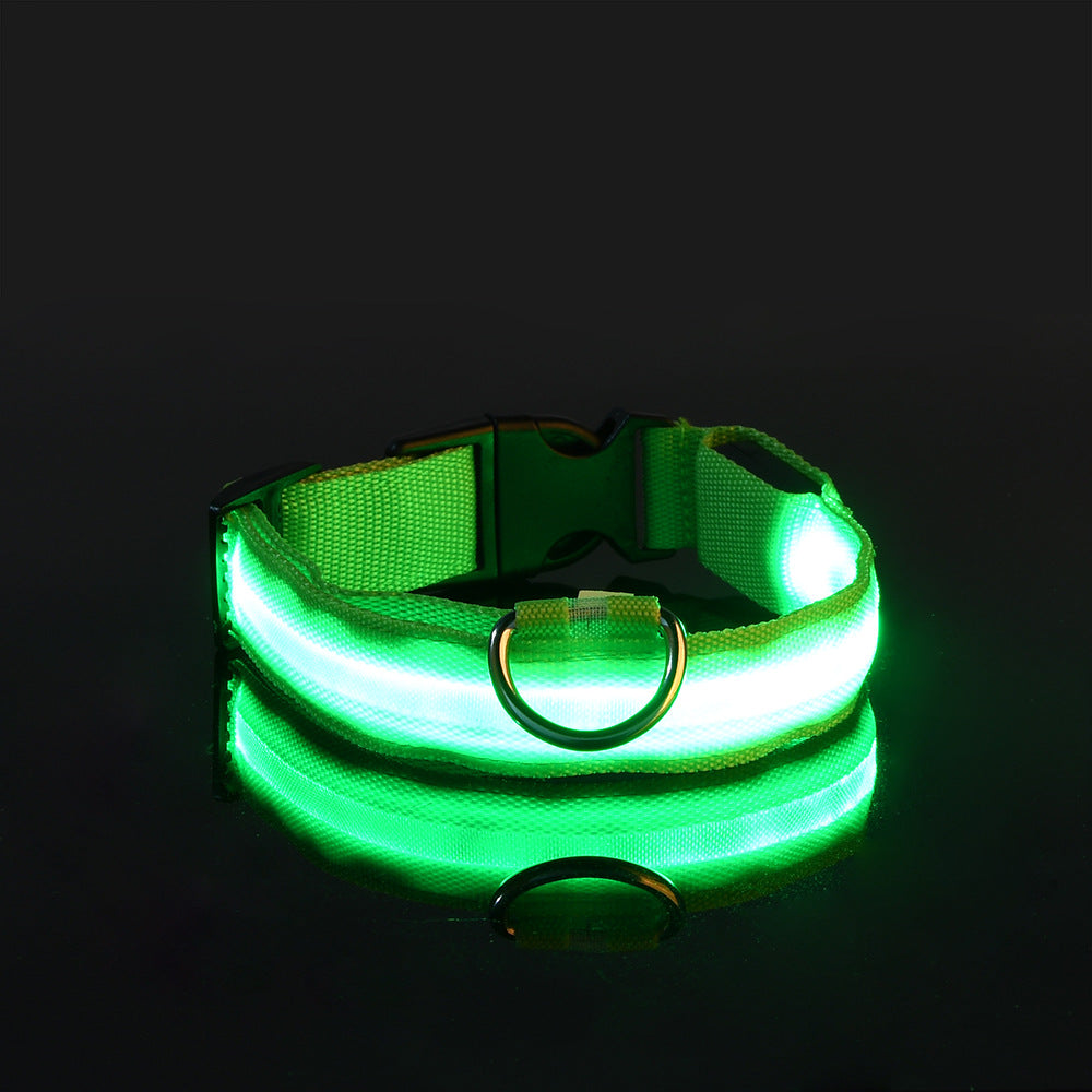 Manufacturers wholesale dog Teddy pet LED collars, night flashing dog walking collars, pet supplies on behalf of
