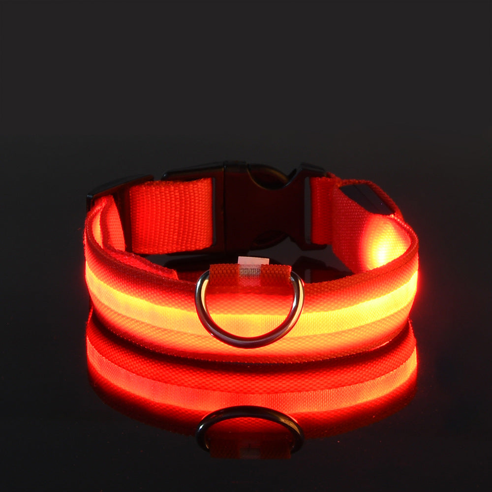 Manufacturers wholesale dog Teddy pet LED collars, night flashing dog walking collars, pet supplies on behalf of