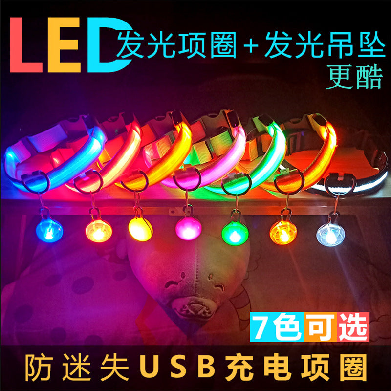 Manufacturers wholesale dog Teddy pet LED collars, night flashing dog walking collars, pet supplies on behalf of