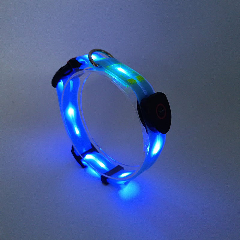 LED luminous collar USB charging pet collar nylon pvc coated webbing luminous dog collar dog leash