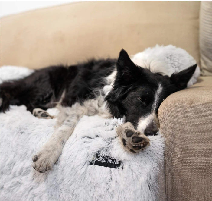 Hot Amazon shopify pet cushion Amazon send pet rest cushion