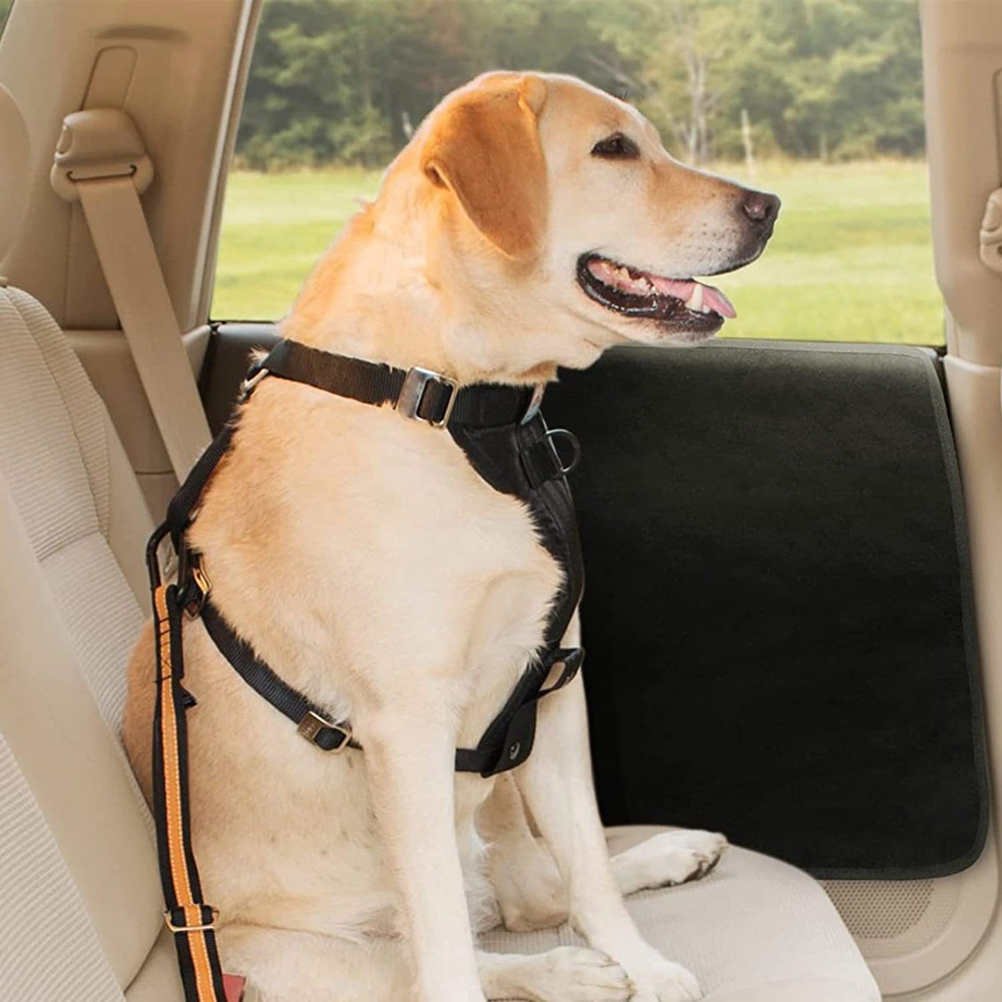 Car seat door protection pad pet pad side door dirt-resistant anti-scratch protection pad storage pet anti-kick pad cross-border