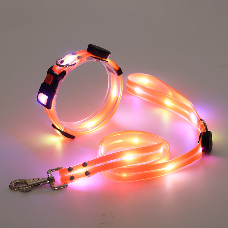 LED luminous collar USB charging pet collar nylon pvc coated webbing luminous dog collar dog leash