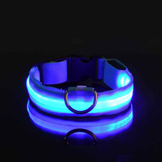 Manufacturers wholesale dog Teddy pet LED collars, night flashing dog walking collars, pet supplies on behalf of