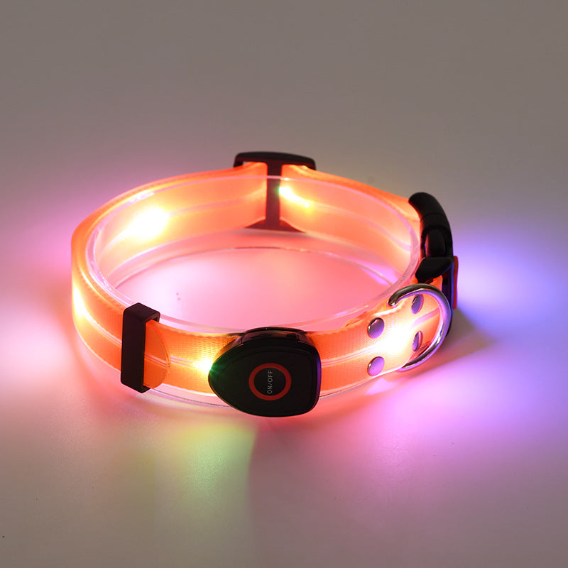 LED luminous collar USB charging pet collar nylon pvc coated webbing luminous dog collar dog leash
