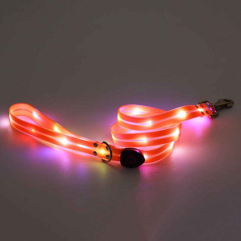 LED luminous collar USB charging pet collar nylon pvc coated webbing luminous dog collar dog leash
